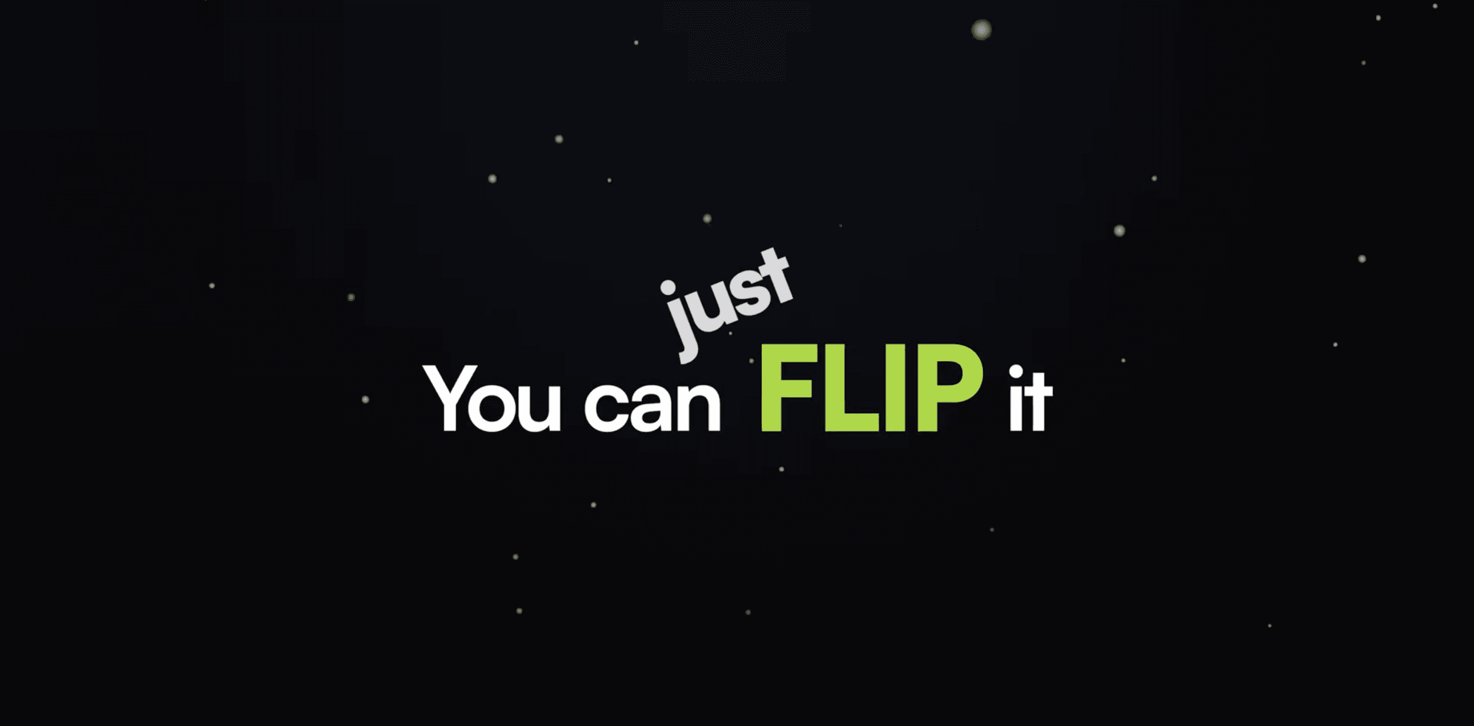 FLIP Program